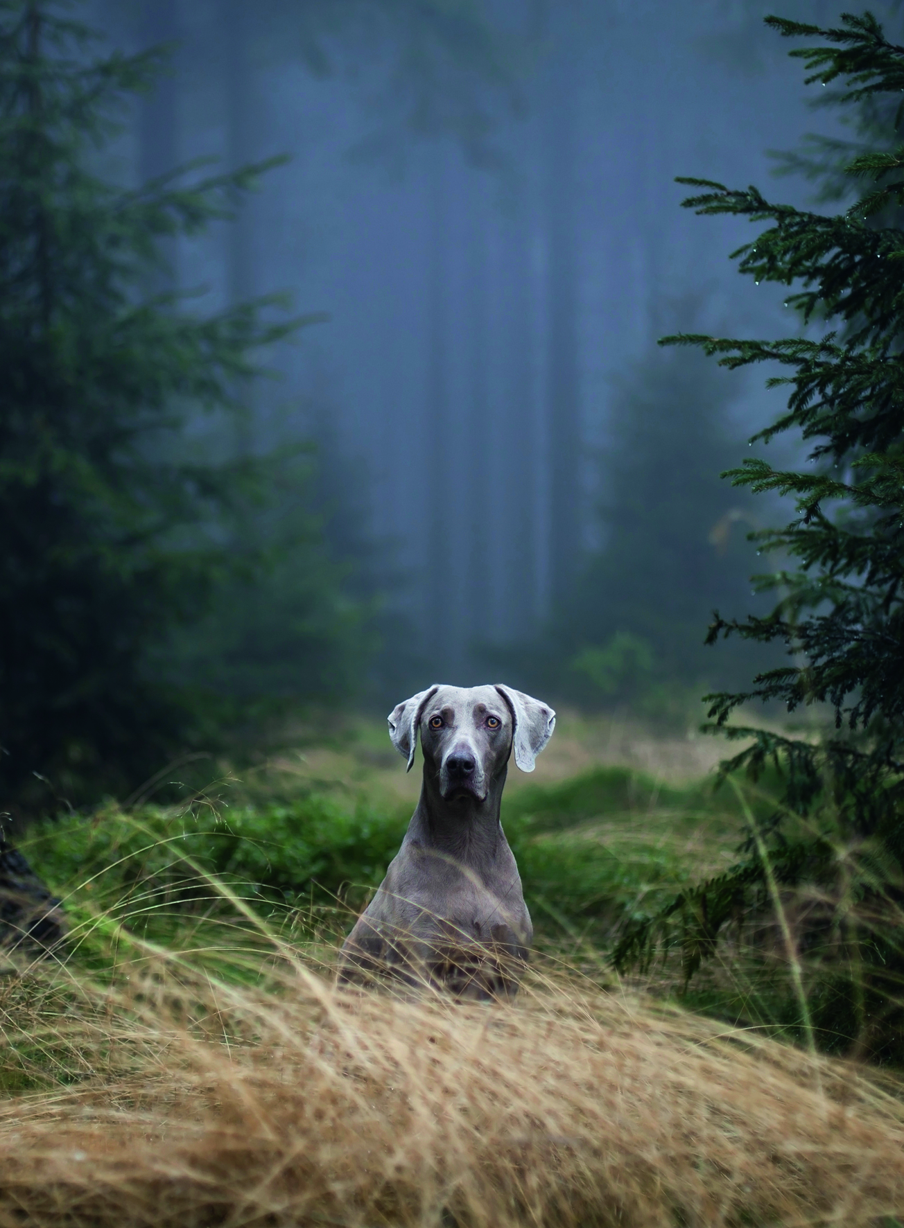 Photo © Nordeisender/imageBROKER/Corbis